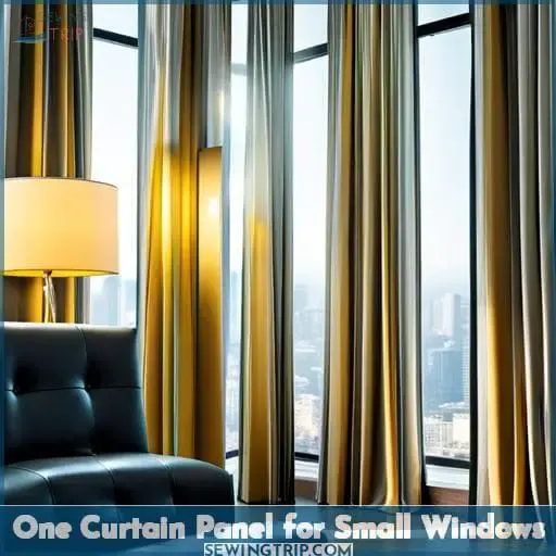 One Curtain Panel for Small Windows