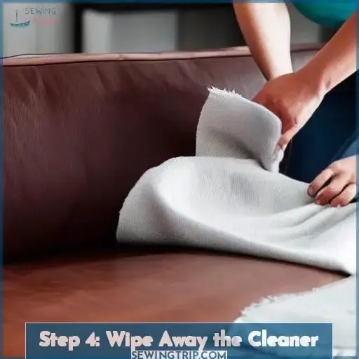 Step 4: Wipe Away the Cleaner
