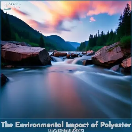 The Environmental Impact of Polyester