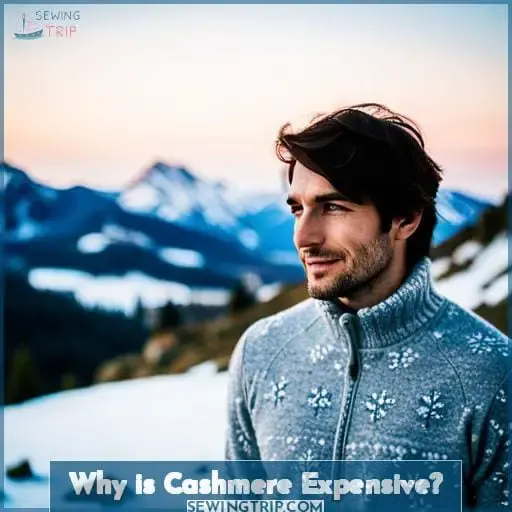 Why is Cashmere Expensive?
