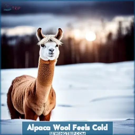 Alpaca Wool Feels Cold