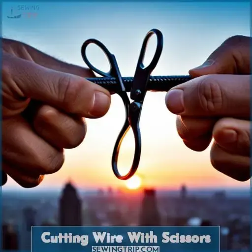 Cutting Wire With Scissors