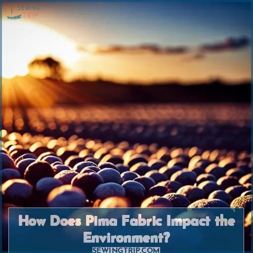 How Does Pima Fabric Impact the Environment?