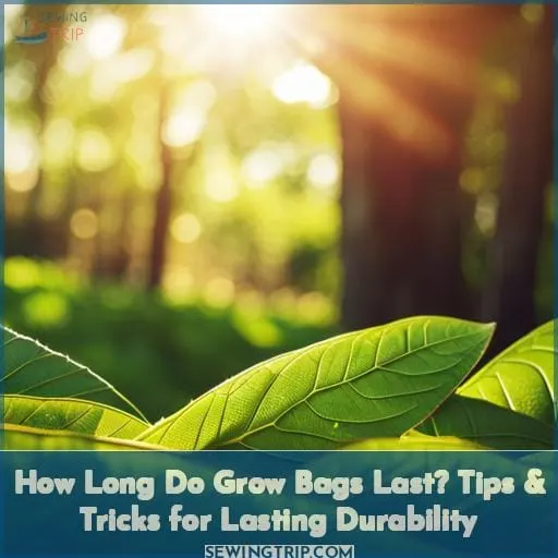 How Long Do Grow Bags Last? Tips & Tricks for Lasting Durability