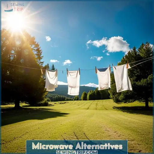 Microwave Alternatives