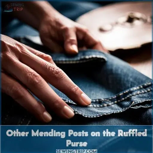 Other Mending Posts on the Ruffled Purse