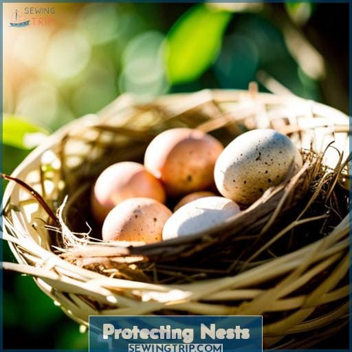 Protecting Nests