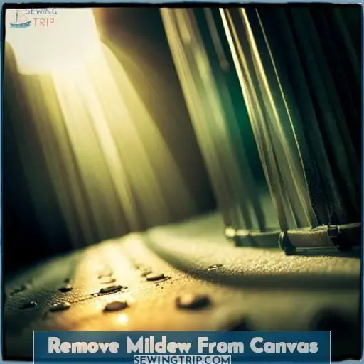 Remove Mildew From Canvas