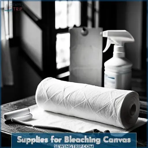 Supplies for Bleaching Canvas