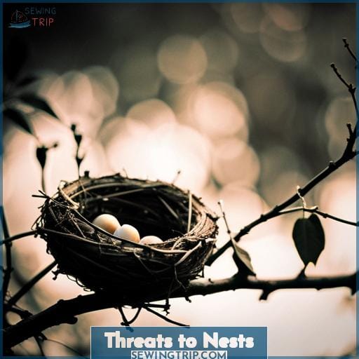Threats to Nests