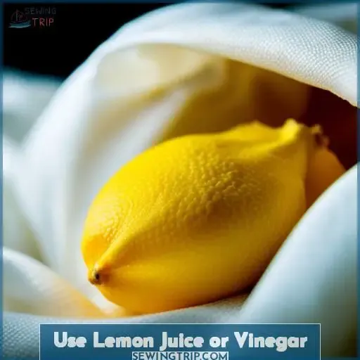 Use Lemon Juice or Vinegar