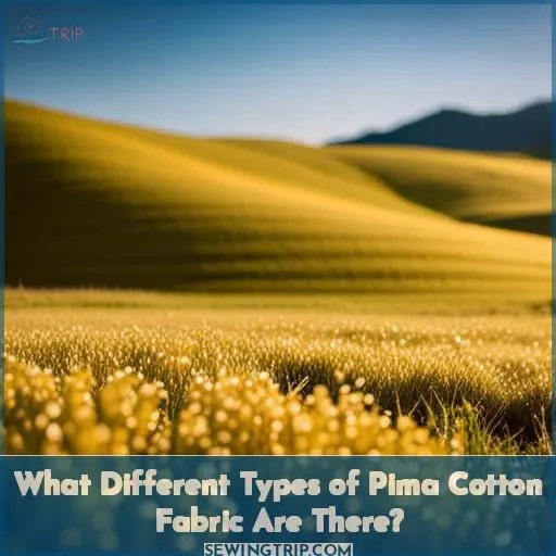 What Different Types of Pima Cotton Fabric Are There?