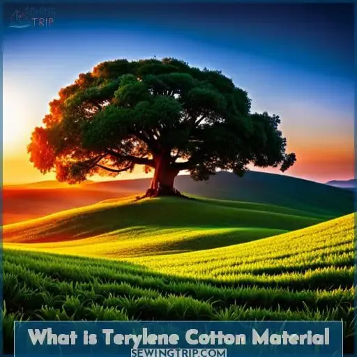 what is terylene cotton material