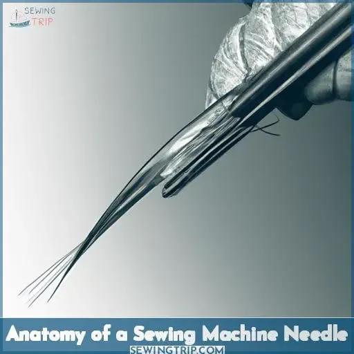 Anatomy of a Sewing Machine Needle