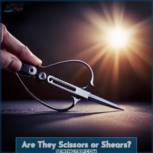 Are They Scissors or Shears
