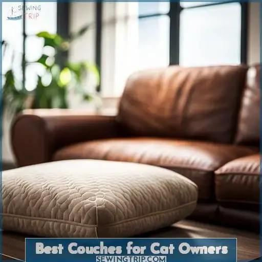Best Couches for Cat Owners