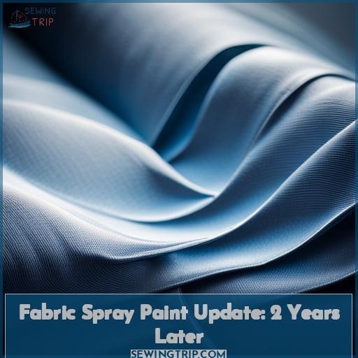 Fabric Spray Paint Update: 2 Years Later