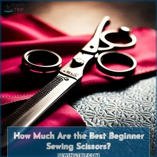 How Much Are the Best Beginner Sewing Scissors