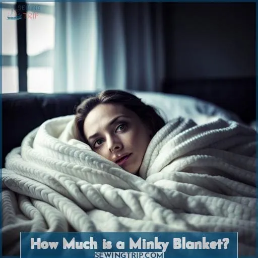 How Much is a Minky Blanket