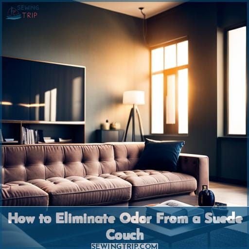 How to Eliminate Odor From a Suede Couch