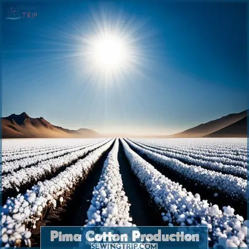 Pima Cotton Production