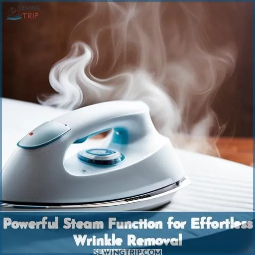 Powerful Steam Function for Effortless Wrinkle Removal