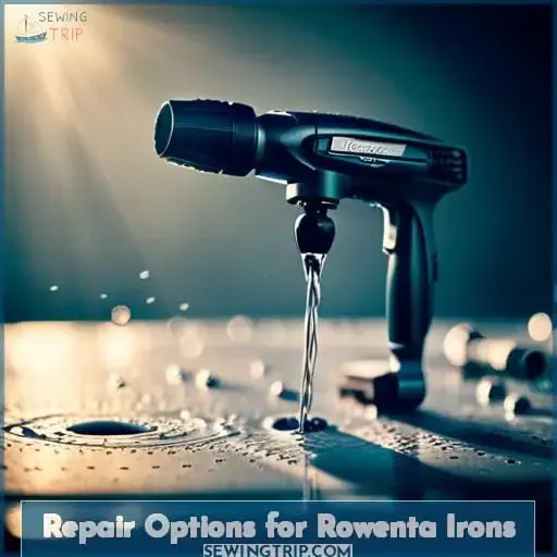 Repair Options for Rowenta Irons