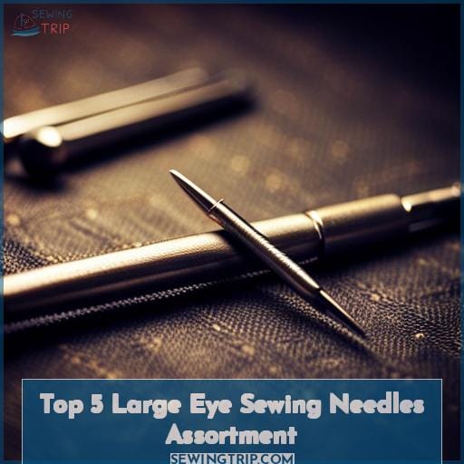 Top 5 Large Eye Sewing Needles Assortment