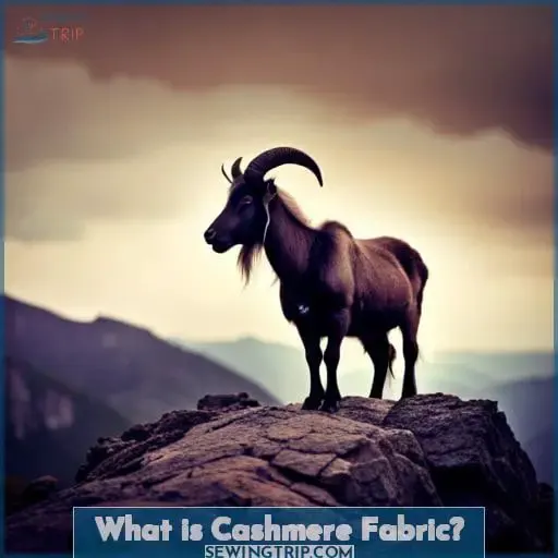 What is Cashmere Fabric