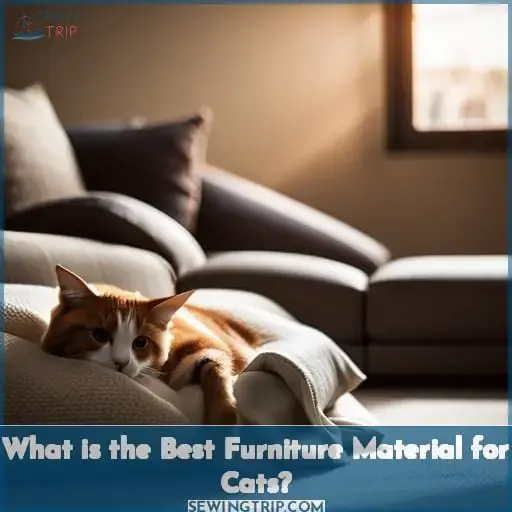 What is the Best Furniture Material for Cats