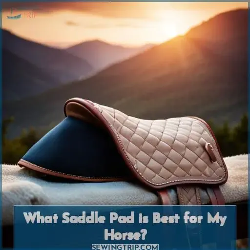 What Saddle Pad is Best for My Horse