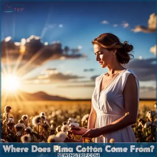 Where Does Pima Cotton Come From