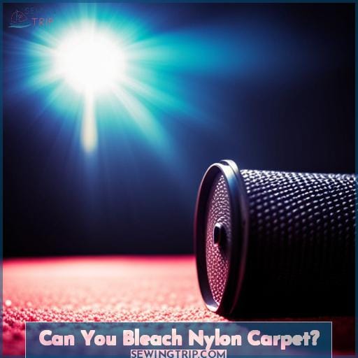 Can You Bleach Nylon Carpet