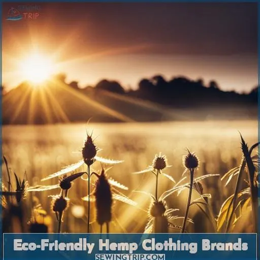Eco-Friendly Hemp Clothing Brands