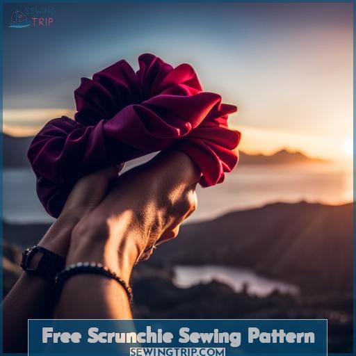 Free Scrunchie Sewing Pattern