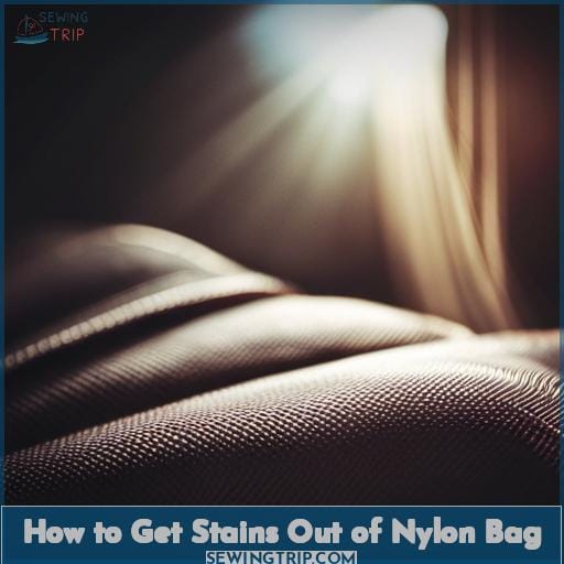 How to Get Stains Out of Nylon Bag