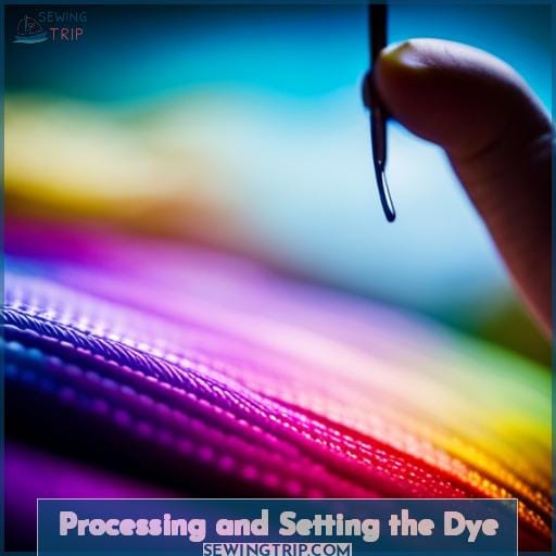Processing and Setting the Dye