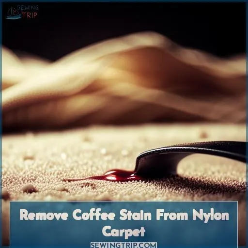 Remove Coffee Stain From Nylon Carpet