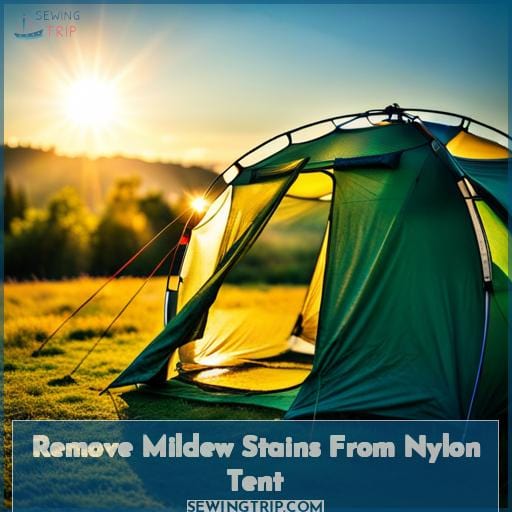 Remove Mildew Stains From Nylon Tent