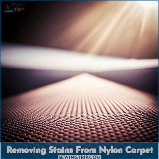 Removing Stains From Nylon Carpet