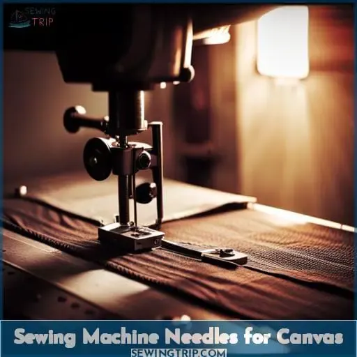 Sewing Machine Needles for Canvas