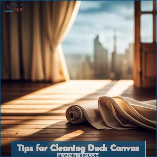 Tips for Cleaning Duck Canvas