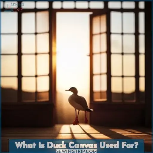 What is Duck Canvas Used For