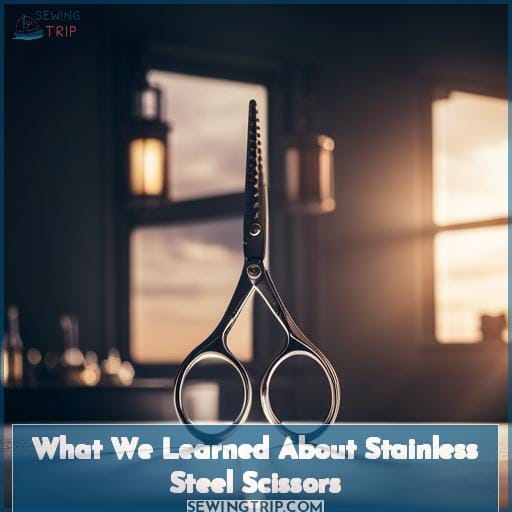 What We Learned About Stainless Steel Scissors