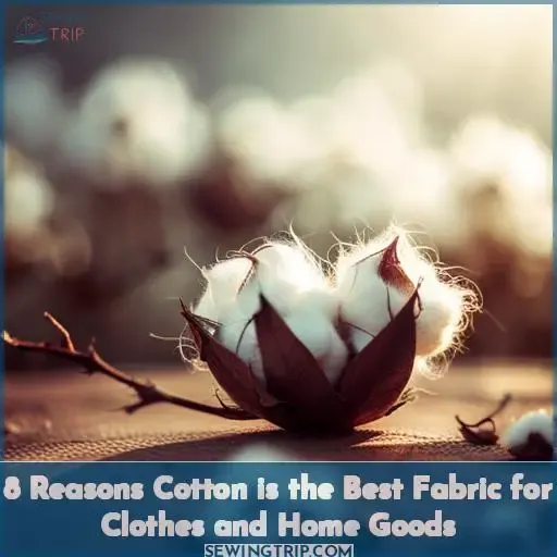 8 reasons to use cotton what is a cotton fabric made from