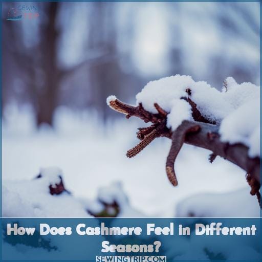 How Does Cashmere Feel in Different Seasons