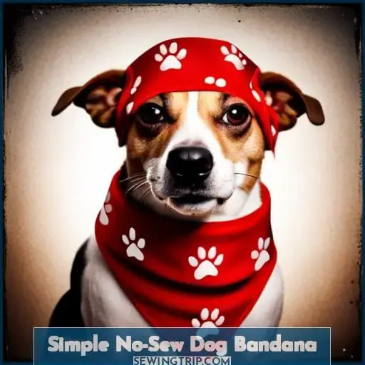 Simple No-Sew Dog Bandana
