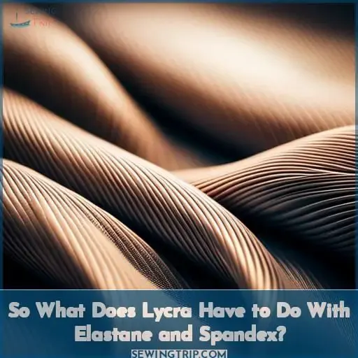So What Does Lycra Have to Do With Elastane and Spandex