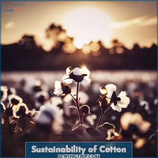Sustainability of Cotton
