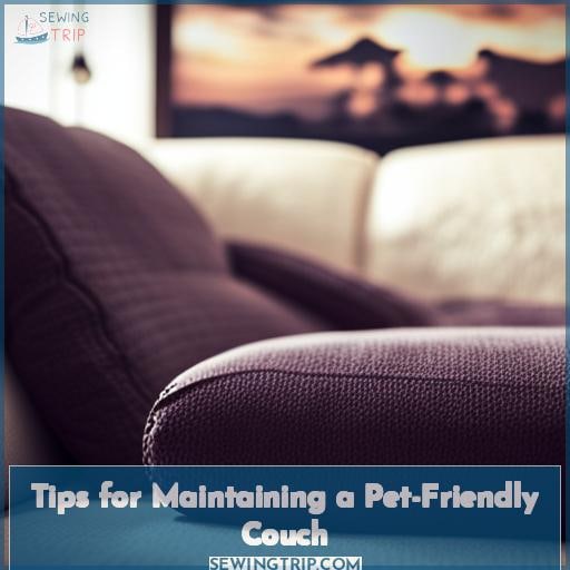 Tips for Maintaining a Pet-Friendly Couch